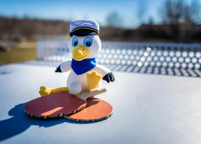 Lagovida Seglerhuette A Am Stoermthaler *